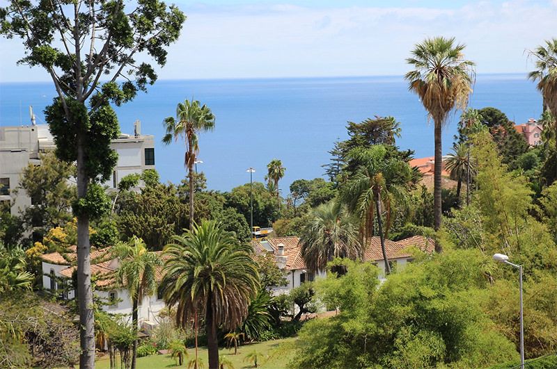 Quinta Magnolia Gardens